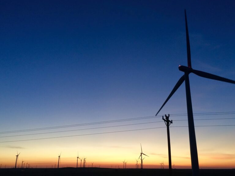 United States asks judge to halt construction of second wind farm